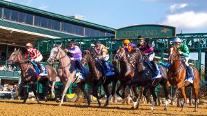Darley Alcibiades, Keeneland, Breeders' Cup, Fall Stars, horse racing, America's Best Racing, ABR
